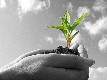 Formazione scolastica e professionale, un piano nazionale punta al 'bio' Formazione scolastica e professionale, un piano nazionale punta al 'bio'