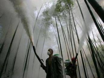 Allarme pesticidi, uccidono la biodiversità Allarme pesticidi, uccidono la biodiversità