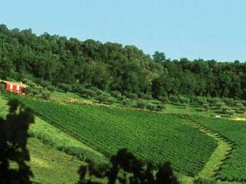 Abruzzo, 25 mln per sviluppo banda larga in agricoltura Abruzzo, 25 mln per sviluppo banda larga in agricoltura