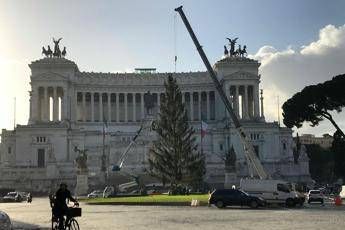 Spelacchio, M5S Roma si difende Spelacchio, M5S Roma si difende