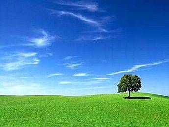 Domani in CdM il decreto Ambiente, investimenti e semplificazioni al top Domani in CdM il decreto Ambiente, investimenti e semplificazioni al top