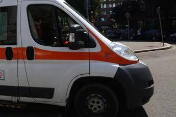 Roma, albero cade su auto: ferita 26enne Roma, albero cade su auto: ferita 26enne