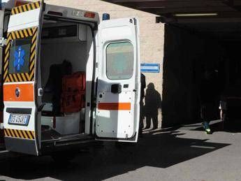 Milano, colf aggredita da 4 cani: è grave Milano, colf aggredita da 4 cani: è grave