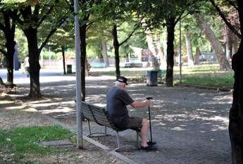 Alzheimer, ecco i segnali che annunciano l'arrivo della malattia Alzheimer, ecco i segnali che annunciano l'arrivo della malattia
