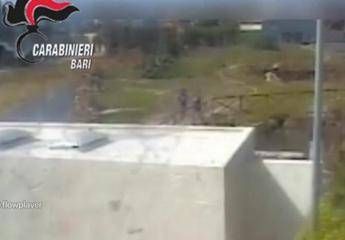 Anziano giù da scogliera, accusa per minori diventa omicidio preterintenzionale Anziano giù da scogliera, accusa per minori diventa omicidio preterintenzionale