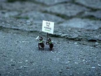 Nel corto di animazione Greenpeace api 'attiviste' per salvare il pianeta Nel corto di animazione Greenpeace api 'attiviste' per salvare il pianeta