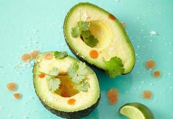Un avocado al giorno per 6 mesi, cercasi volontari Un avocado al giorno per 6 mesi, cercasi volontari