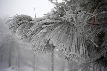 Martedì il giorno più freddo Martedì il giorno più freddo