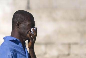 Terremoto ad Haiti, almeno 11 morti Terremoto ad Haiti, almeno 11 morti