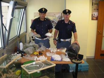 Droga, sequestrati 173 chili di cocaina al porto di Gioia Tauro /Video Droga, sequestrati 173 chili di cocaina al porto di Gioia Tauro /Video