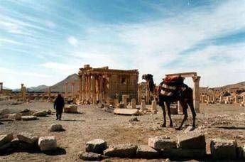 Siria: l'archeologa, dolore per situazione Palmira, non restare inerti Siria: l'archeologa, dolore per situazione Palmira, non restare inerti