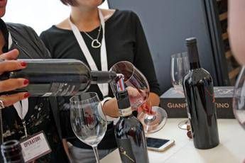 'Volcanic wines' protagonisti a Vinitaly 'Volcanic wines' protagonisti a Vinitaly