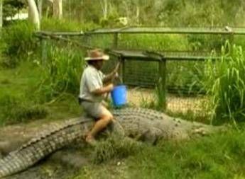 Australia, morso da uno dei suoi coccodrilli: grave il 'boscimano scalzo' Rob Bredl Australia, morso da uno dei suoi coccodrilli: grave il 'boscimano scalzo' Rob Bredl