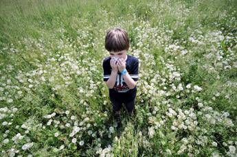 Sei allergico? Arriva il test che te lo dice in 4 ore Sei allergico? Arriva il test che te lo dice in 4 ore