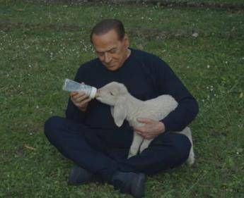 Berlusconi battezza l'agnellino, si chiama Fiocco di Neve. Ma niente svolta veg... Berlusconi battezza l'agnellino, si chiama Fiocco di Neve. Ma niente svolta veg...