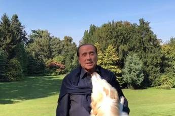 Spunta Harley nel videomessaggio di Berlusconi Spunta Harley nel videomessaggio di Berlusconi