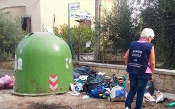 Roma, orrore a Pantano: trovato cane bruciato con zampe amputate Roma, orrore a Pantano: trovato cane bruciato con zampe amputate