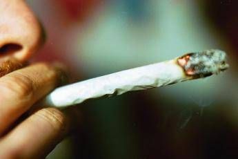Cannabis, Jane il robot la spiega ai ragazzi Cannabis, Jane il robot la spiega ai ragazzi