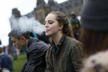 Cannabis light, che succede ora? Cannabis light, che succede ora?