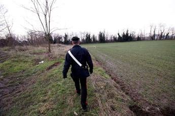 Identificata la donna fatta a pezzi e data in pasto ai cinghiali Identificata la donna fatta a pezzi e data in pasto ai cinghiali