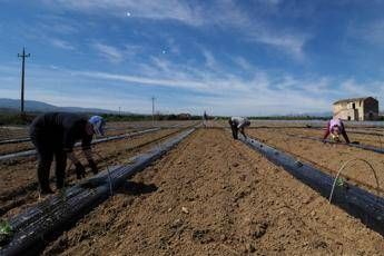 La carica dei lavoratori 'invisibili', sono 3,3 milioni La carica dei lavoratori 'invisibili', sono 3,3 milioni