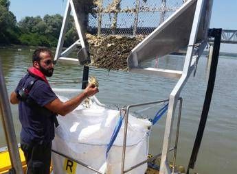 Operazione Po, a 'pesca' di rifiuti e plastiche Operazione Po, a 'pesca' di rifiuti e plastiche
