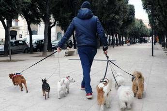 Un anno del cane non equivale a 7 umani Un anno del cane non equivale a 7 umani