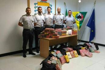 Maxi sequestro a Gioia Tauro, 220 kg di cocaina purissima Maxi sequestro a Gioia Tauro, 220 kg di cocaina purissima
