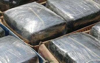 La polizia: Ci hanno portato 2 kg di marijuana, il proprietario venga a prenderla La polizia: Ci hanno portato 2 kg di marijuana, il proprietario venga a prenderla