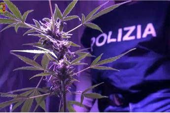 Nasconde droga in garage: arrestato Nasconde droga in garage: arrestato