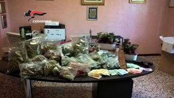 Torino, vendeva marijuana e hashish nei rave party: pusher in manette Torino, vendeva marijuana e hashish nei rave party: pusher in manette