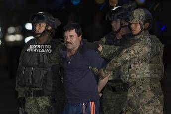 Gratteri: El Chapo considerava cosche 'ndrangheta partner affidabili Gratteri: El Chapo considerava cosche 'ndrangheta partner affidabili