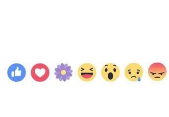 Facebook, spunta un fiore: ecco a cosa serve Facebook, spunta un fiore: ecco a cosa serve