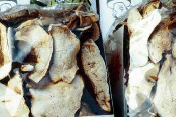 Ritirato lotto di porcini venduto da Lidl Ritirato lotto di porcini venduto da Lidl