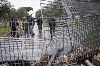 Gasdotto Tap, nuove barricate e blocchi Gasdotto Tap, nuove barricate e blocchi