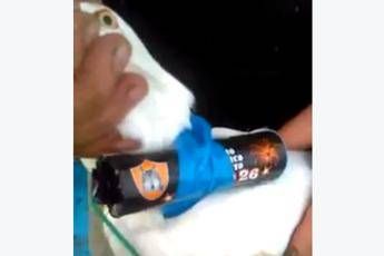 Nuoro, legano petardo al collo di un gabbiano e lo fanno esplodere in volo /Il video choc Nuoro, legano petardo al collo di un gabbiano e lo fanno esplodere in volo /Il video choc