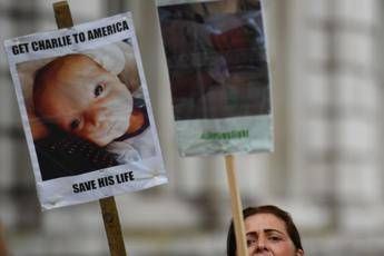 Charlie, Parlamento Usa concede cittadinanza Charlie, Parlamento Usa concede cittadinanza