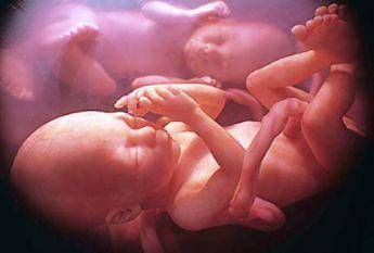 Nati i primi bambini in Italia dopo l'ok della Consulta all'eterologa Nati i primi bambini in Italia dopo l'ok della Consulta all'eterologa