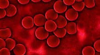 Farmaci, AbbVie: 16 molecole in sperimentazione contro 20 tipi di cancro Farmaci, AbbVie: 16 molecole in sperimentazione contro 20 tipi di cancro