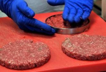 Hamburger sintetico presto in commercio Hamburger sintetico presto in commercio