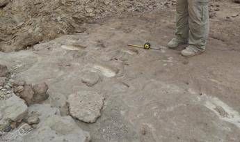 Scoperte in Eritrea impronte umane fossili di 800mila anni fa Scoperte in Eritrea impronte umane fossili di 800mila anni fa