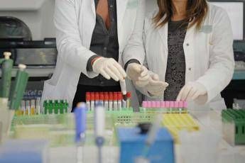 Predire la leucemia, possibile un test del sangue Predire la leucemia, possibile un test del sangue