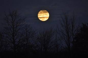 Arriva la Superluna, occhi al cielo Arriva la Superluna, occhi al cielo
