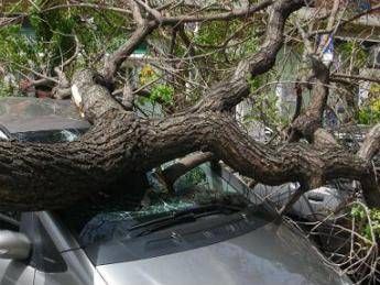 Il maltempo provoca una frana vicino Cortina, due automobilisti in salvo Il maltempo provoca una frana vicino Cortina, due automobilisti in salvo
