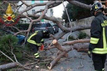 Vento, mareggiate e alberi caduti: è allerta maltempo Vento, mareggiate e alberi caduti: è allerta maltempo