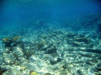 Cmas lancia 'Blue Helmets of the sea' per tutela oceani Cmas lancia 'Blue Helmets of the sea' per tutela oceani