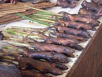 Mercato shock in Indonesia, dai cani ai pitoni arrosto in vendita Mercato shock in Indonesia, dai cani ai pitoni arrosto in vendita