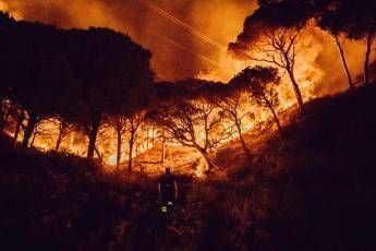Incendi, almeno 15 anni per ricostruire i boschi Incendi, almeno 15 anni per ricostruire i boschi