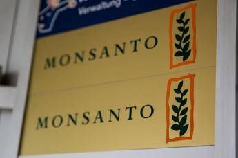 Monsanto, risarcimento ridotto a malato di cancro Monsanto, risarcimento ridotto a malato di cancro