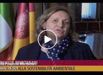 Emergenza rifiuti, scaricabarile tra Raggi e Zingaretti. Radicali all'attacco Emergenza rifiuti, scaricabarile tra Raggi e Zingaretti. Radicali all'attacco
